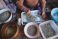 Coffee Raw coffee beans Dried coffee People are sorting coffee beans