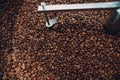 Coffee roaster machine at coffee roasting process. Mixing and cooling coffee beans.
