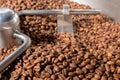 Coffee roaster machine at coffee roasting process. Mixing coffee grain. Roaster and cooling professional machines and