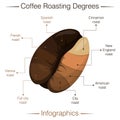 Coffee roasting degrees. Infographics. Cartoon vector illustration.