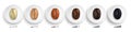 Coffee roasting guide. Realistic coffee beans in various roasting stages on white plates vector illustration