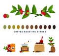 Coffee roasting stages flat style vector illustration.