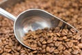 Alluminium coffee scoop with coffe beans