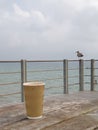 Coffee with a seagul