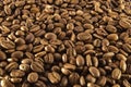 Coffee seed