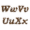 Coffee seed font