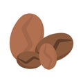 Coffee seeds dry isolated icon style