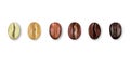 Coffee seeds. Realistic beans, barista espresso or arabica process, organic dark cafe. Isolated green and brown elements