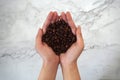 Coffee beans in hands, with marble background Royalty Free Stock Photo