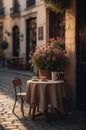 Coffee Shop, Bossa Nova style, cute tables outside, cobblestone road, flowers