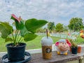 The coffee shop on the sheep farm has a beautiful lawn and sky.