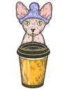 Coffee shop, Sphynx cat is drinking coffee. Sketch scratch board imitation color.