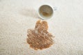 Coffee Spilling From Cup On Carpet Royalty Free Stock Photo