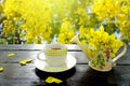 Coffee and spring yellow flower on nature autumn background Royalty Free Stock Photo
