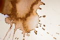 Coffee stain