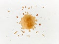 Coffee stain on paper Royalty Free Stock Photo