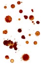 Coffee stains group Royalty Free Stock Photo