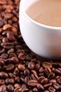 Coffee Story Royalty Free Stock Photo