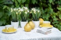 Coffee table with teacups and pears, book and flowers in garden