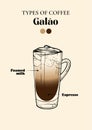 Galao coffee line art illustration poster Royalty Free Stock Photo