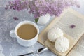 Coffee or tea with milk and marshmallows. Reading a book in the garden with a cup of coffee. Romantic still life with lilac Royalty Free Stock Photo