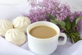 Coffee or tea with milk and marshmallows. Reading a book in the garden with a cup of coffee. Romantic still life with lilac Royalty Free Stock Photo