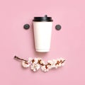 Coffee or tea paper cup and spring branches of white flowers of cherry on pink background top view flat lay. Take away coffee cup Royalty Free Stock Photo