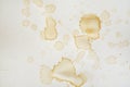 Coffee or tea stains and traces - modern isolated on white background. Splashes of cups, mugs and drops. Use this high