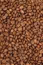 Coffee texture. coffee beans as background wallpaper. arabica cofee bean Royalty Free Stock Photo