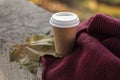 Coffee to go cup and scarf in autumn