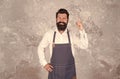 coffee to go. nicest price in town. chef has a great idea. happy bearded chef just inspired. successful cook career Royalty Free Stock Photo