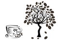 Coffee tree in a cup,