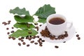 Coffee tree leaves and beans and cup of coffee Royalty Free Stock Photo