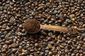 The coffee tree is native to the province of Kaffa in the highlands of Abyssinia, present-day Ethiopia, where it grows wild