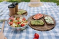 Coffee on vegan picnic. Fresh salad with vegan sanwich on blue checkered blanket in park