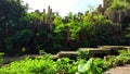 Coffee village at Buon Me Thuot city, Dak Lak province, Vietnam