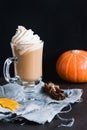 Coffee with whipped cream and cinnamon or pumpkin spice latte in mug Royalty Free Stock Photo