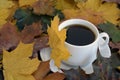 Coffee is in a white cup on color autumn leaves.