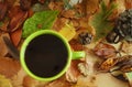 Coffee& x27;n autumn series 01 Royalty Free Stock Photo