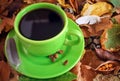 Coffee'n autumn series 11 Royalty Free Stock Photo
