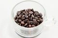 Coffeebean Royalty Free Stock Photo