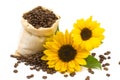 Coffeebeans sunflowers 2 Royalty Free Stock Photo