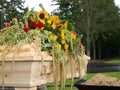 Coffin with flowers Royalty Free Stock Photo