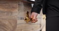 Coffin, hands and pallbearer walking at cemetery ceremony outdoor at tomb. Death, grief and person with casket at Royalty Free Stock Photo