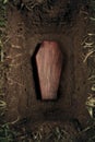 Coffin or tomb at graveyard Royalty Free Stock Photo