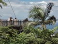 Coffs Harbour, NSW Australia - 14 March 2022- Tourists at the Forest Sky Pier, Sealy Lookout Bruxner Park