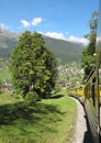 Cog-wheel train to Jungfraujoch in the Swiss Alps Royalty Free Stock Photo