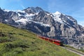 A cog-wheel train travels on famous Jungfrau Railway from Kleine Scheidegg on a green grassy hillside to Jungfraujoch stati Royalty Free Stock Photo