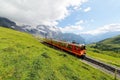 A cog-wheel train travels on famous Jungfrau Railway from Kleine Scheidegg to Jungfraujoch station  top of Europe  on the green Royalty Free Stock Photo