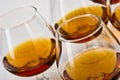 Cognac Royalty Free Stock Photo